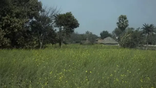 બિહાર મહિલા દિકરી બળાત્કાર