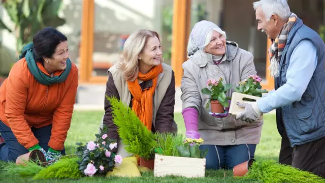 Pessoas conversando sobre jardinagem