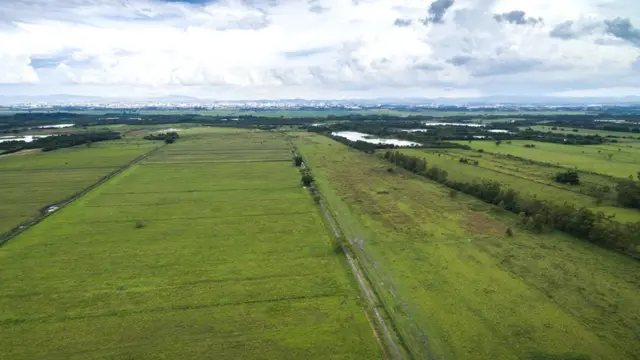 Imagem mostra uma vasta área agrícola no interior do Brasil