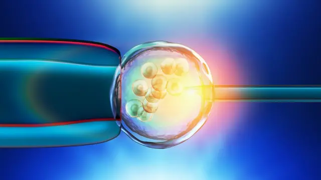 Fertilização in vitro