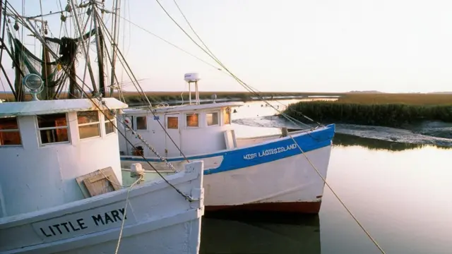 不斷變化的環境使格勒吉奇人很難繼續靠土地維持生計。