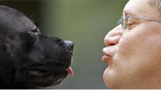 สุนัขกับเจ้าของ