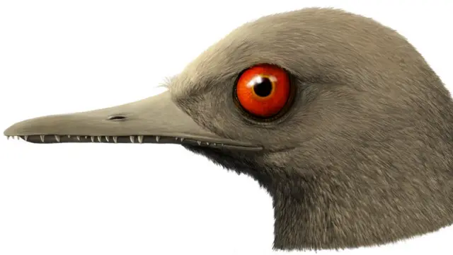 Una ilustración del 'Oculudentavis khaungraae'