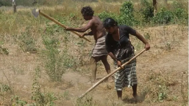 Gender Gap in Sri Lanka 2021