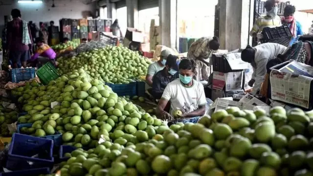 आंबे, फळं