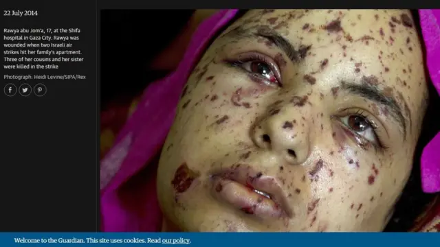 गार्डियन