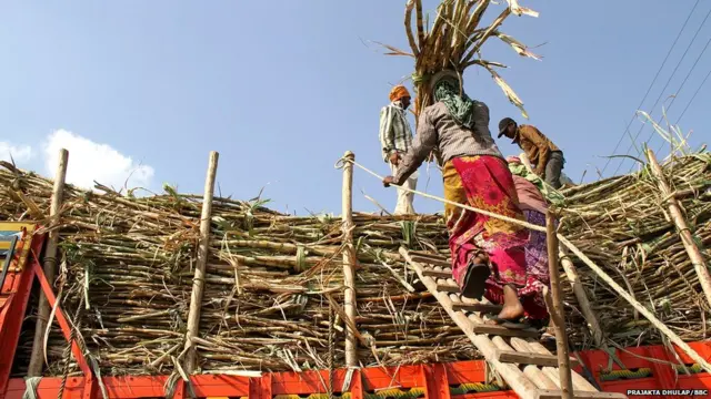 यंदा उसाच्या क्षेत्रात तब्बल सात पटीनं वाढ झाली आहे.