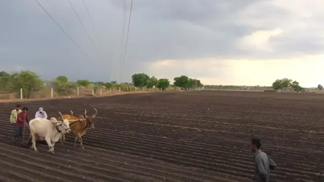 આ અઠવાડિયે લગભગ મોટાભાગના વિસ્તારોમાં વાવણીલાયક વરસાદ થાય તેવી શક્યતા છે