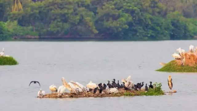 சூலூர் இடைத்தேர்தல் - வெற்றியை தீர்மானிக்கும் காரணிகள் என்ன?