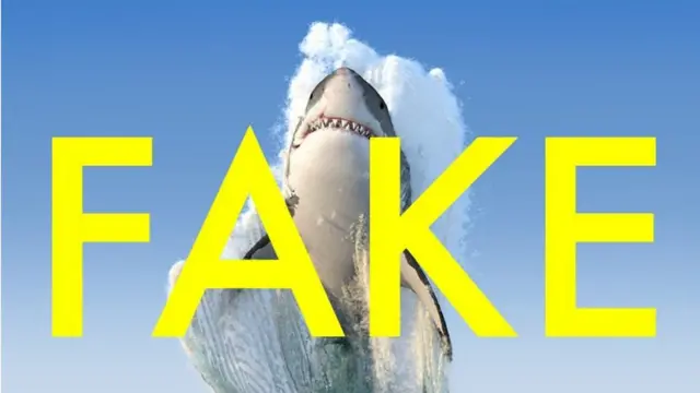 फ़र्जी फ़ोटो