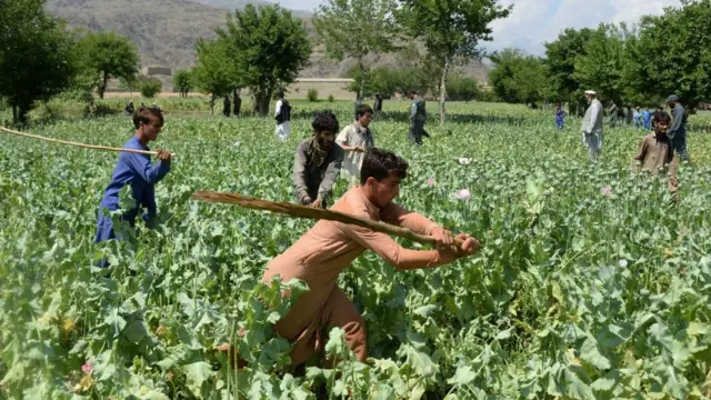 கிராமங்களிலும் கொடி கட்டி பறக்கும் போதைபொருள் விற்பனை
