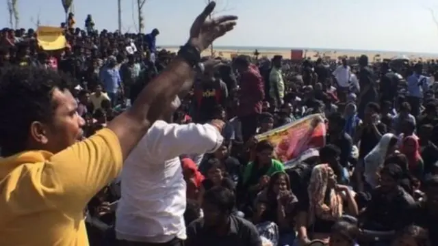 जल्लीकट्टू