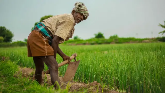 அசோக் தமிழ், தாராபுரம்