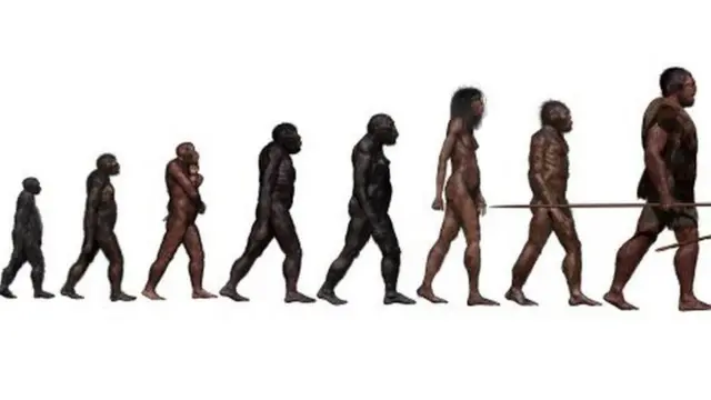 Ilustração dos estágios da evolução humana