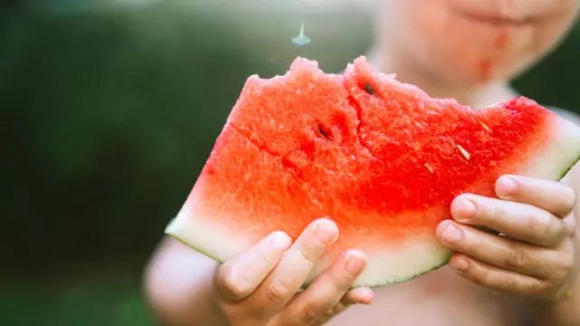 vegan, diet vegan, makanan sehat, makan sehat