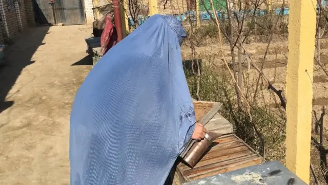 بلخ