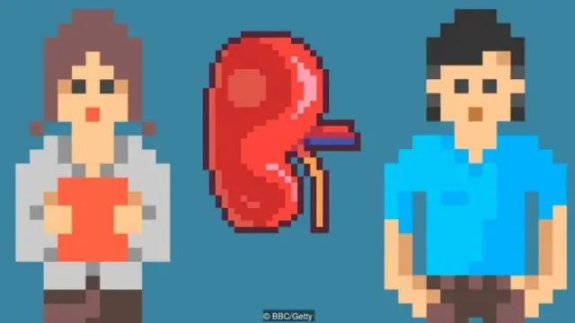 சிறுநீரகம்