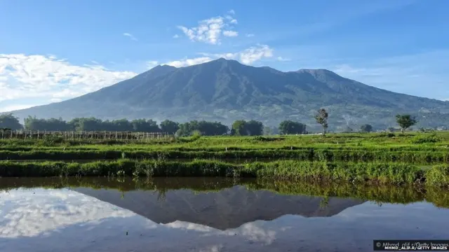 सयूर लोदेह