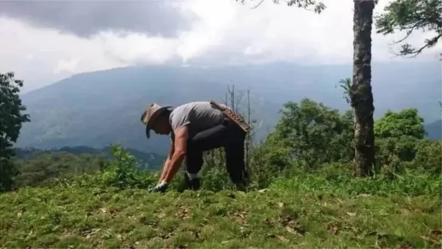 ડૅની ડૅનઝોગ્પા: "ત્યારે મને કેટલાક શુભચિંતકોએ સલાહ આપી કે જે રીતની ફિલ્મો બને છે એમાં તમારા જેવી મુખાકૃતિ ધરાવતા પાત્રની જરૂર નહીં પડે, તેથી હજુ પણ ક્યાંક નોકરી કરી લો."