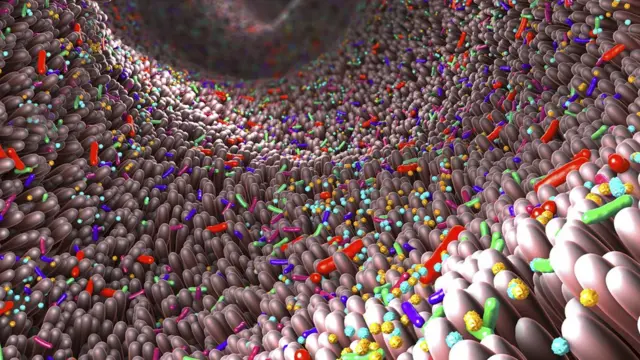 Ilustración de la microbiota