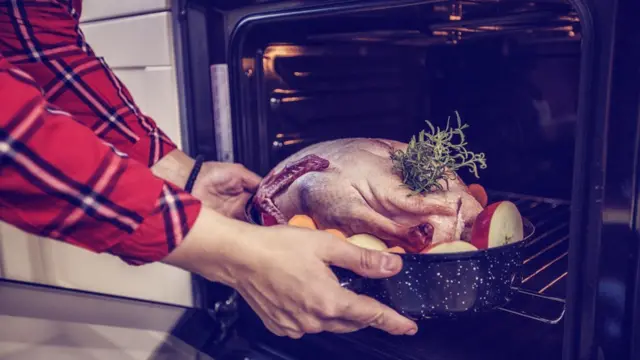 Гусь на противне перед посадкой в духовку