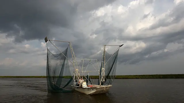 Pescador no Golfojogo de aposta do diamanteMéxico