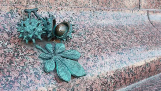 Каштани Київ