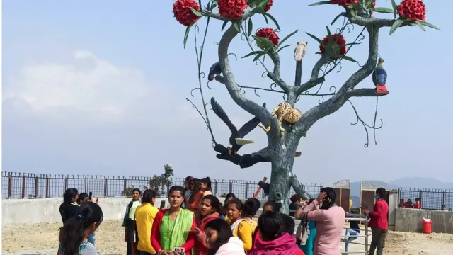 गुराँसेको कृत्रिम गुराँस