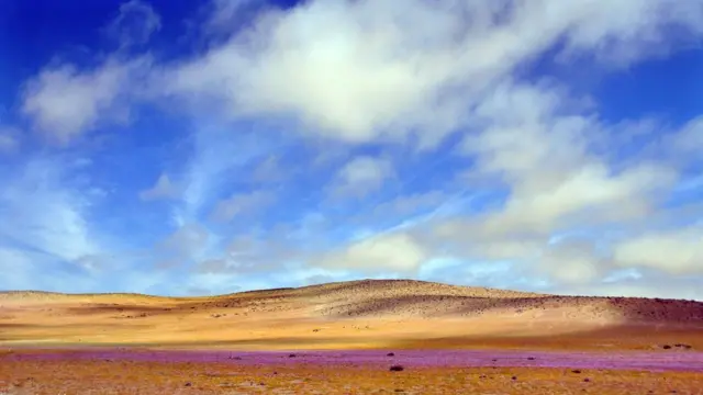 desierto de Atacama