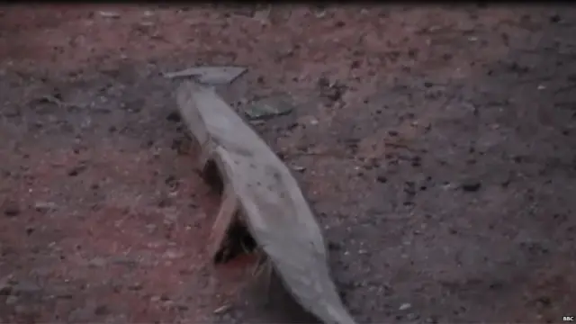 මියගිය පුද්ගලයාට පහරදීම සඳහා යොදා ගැනුණු බව සැලකෙන කොන්ක්‍රීට් තහඩුවක්