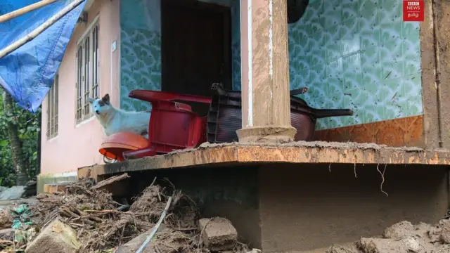 கேரள பெருமழை (புகைப்படத் தொகுப்பு)