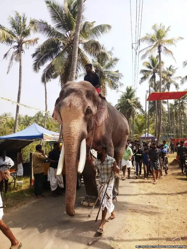 ਰਾਮਚੰਦਰਨ