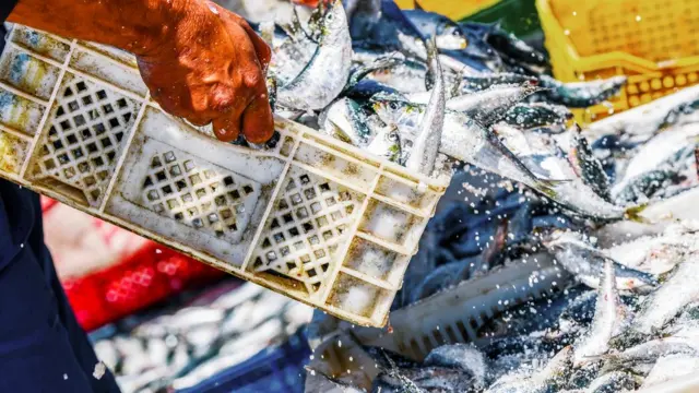 கொரோனா வைரஸ்