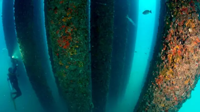 Основная часть буровой платформы - под водой, что затрудняет разбор конструкции