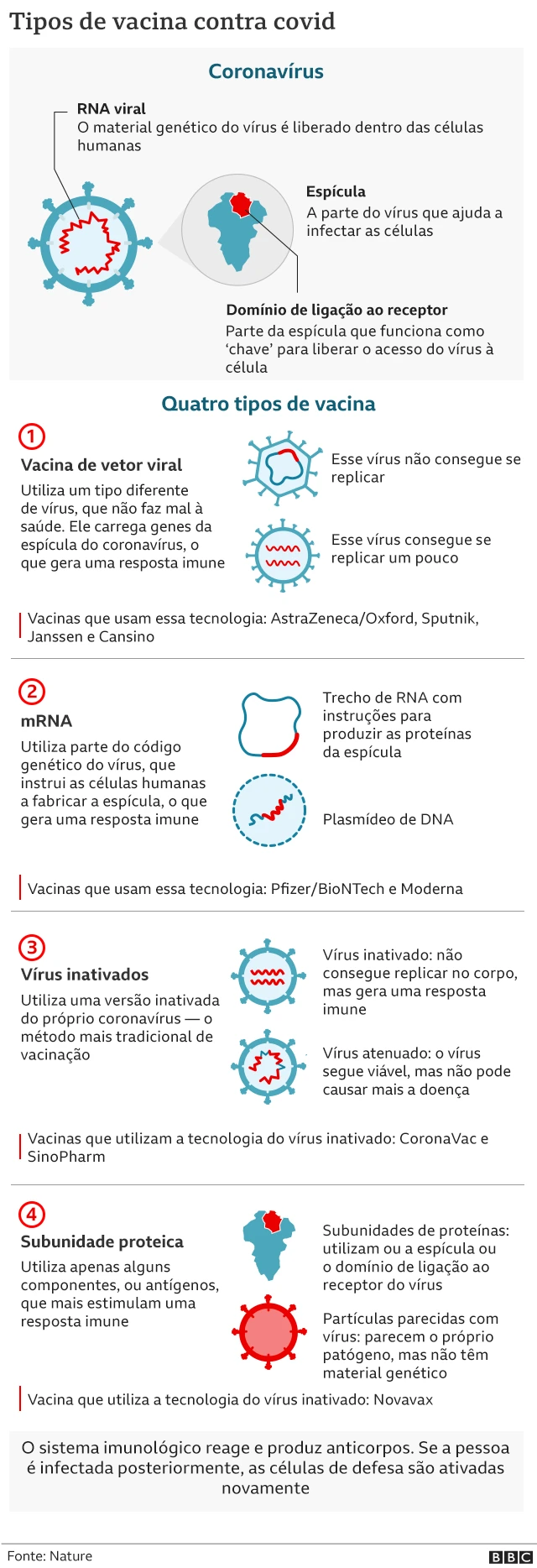 Tipos de vacina contra covid