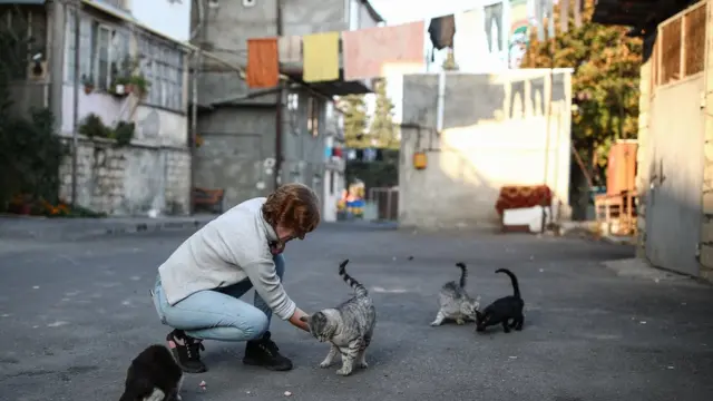 Xankəndi. Pişikləri yemləyən qadın
