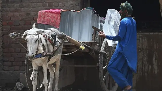 Un homme charge des blocs de glace sur une charrette tirée par un âne pendant la canicule à Jacobabad.