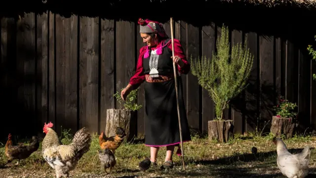 Mujer mapuche