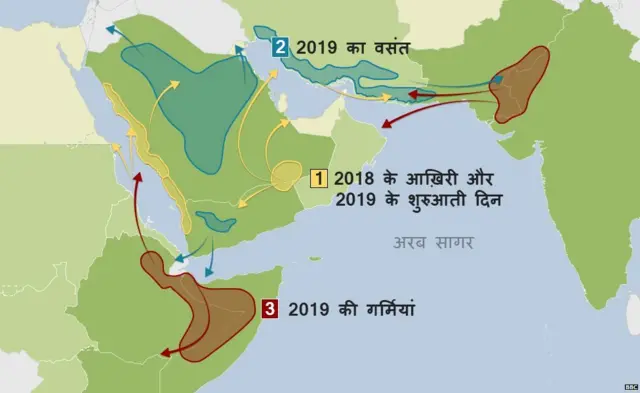 टिड्डियों का हमला