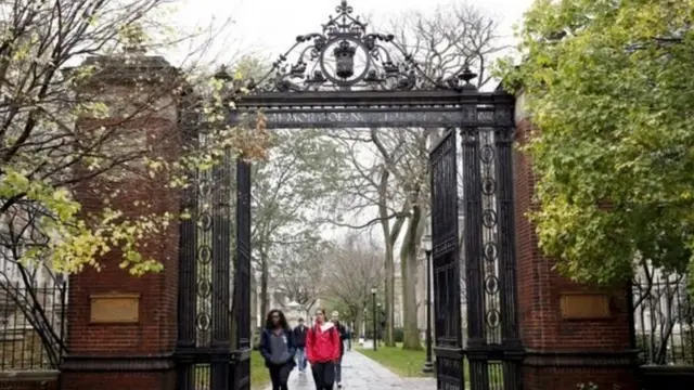 ইয়েল বিশ্ববিদ্যালয়ের গবেষকেরা এই পরীক্ষাটি চালিয়েছেন