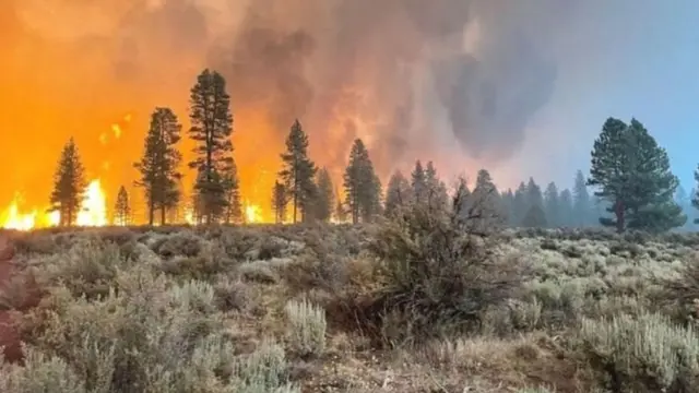 కార్చిచ్చు