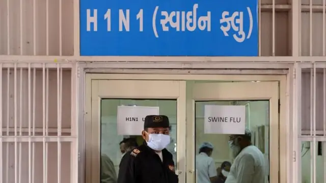 સ્વાઇન ફ્લૂ