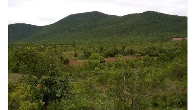 မြန်မာယန်စီ တိုးချဲ့စီမံကိန်းလျှောက်ထားတဲ့နေရာ