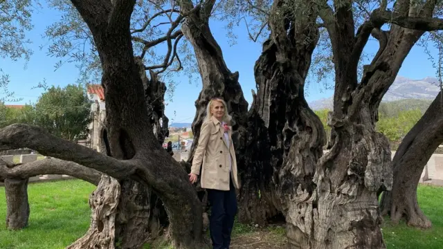 Tanja Andrić u krošnji Stare masline