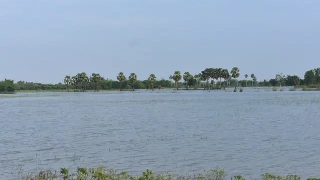 கட்சனம் பகுதியில் மழையில் மூழ்கிய சம்பா நடவு