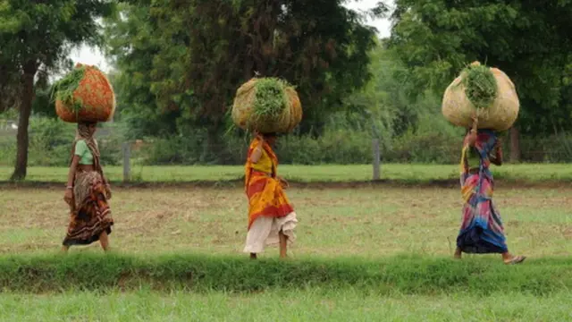 ખેતરમાં કામ કરતી મહિલાઓ