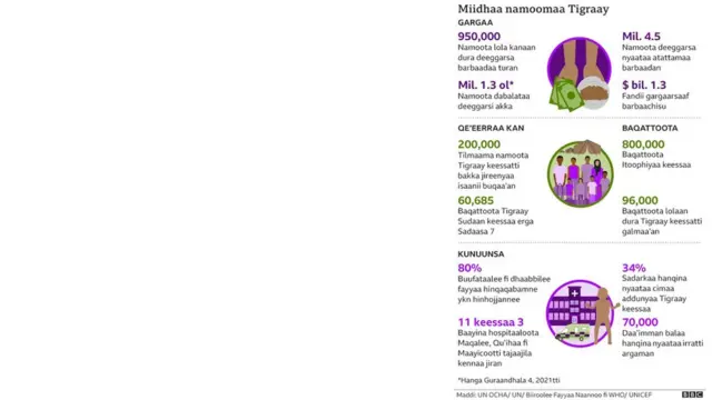 Miidhaa namoomaa lolli naannoo Tigiraay qaqqabsiise