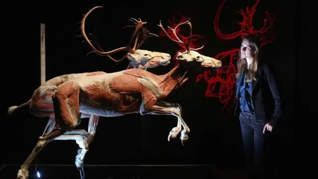 يقدر العلماء متوسط عمر أنواع الثدييات، من نشأتها حتى انقراضها، بنحو مليون عام، فهل يمكن أن يخالف البشر هذه التوقعات؟