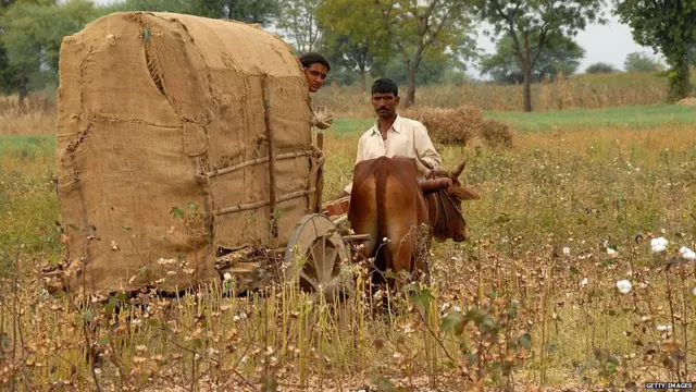 नागपूरमधील शेतकरी