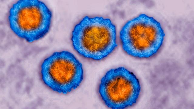 Representaçãoblaze rvírus